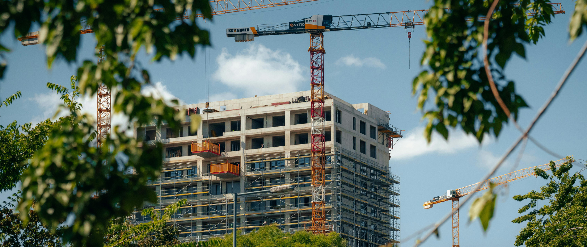 Untitled design - 2026-02-21T151646.700